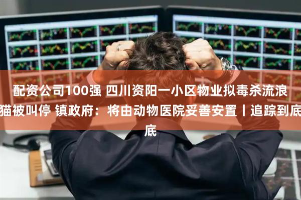 配资公司100强 四川资阳一小区物业拟毒杀流浪猫被叫停 镇政府:将由动物医院妥善安置丨追踪到底